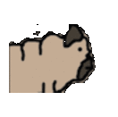 lypho